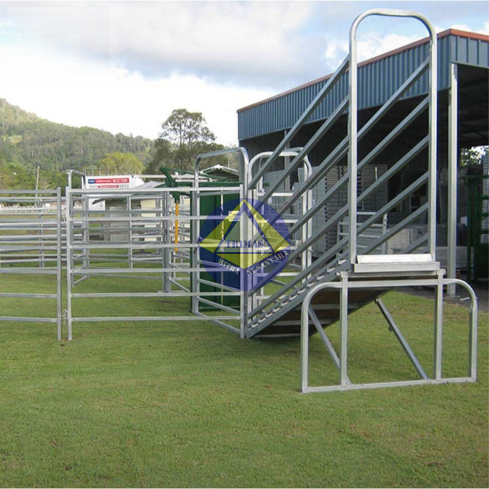 Cattle Loading Ramp Statis - Jalur Naik Sapi Tetap